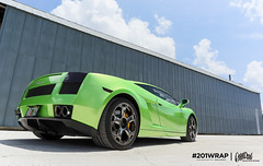 Avery Green Pearlescent Wrap